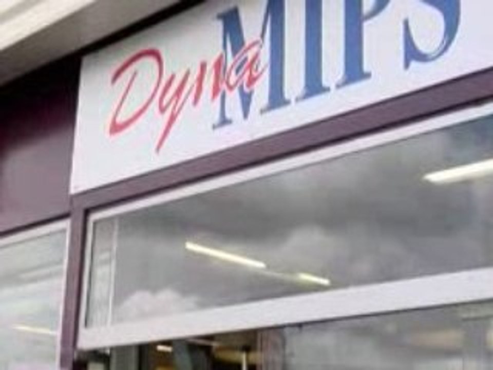 DynaMIPS