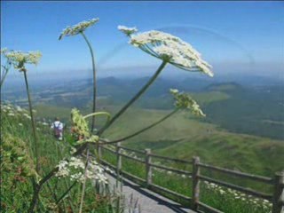 Capjeunes ardes sur couze