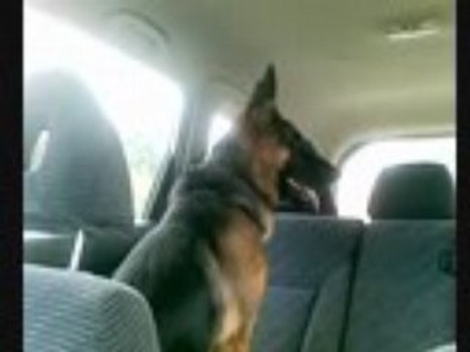 Délia fait son cinéma