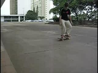 Flip Nosemanual Shove It Manual