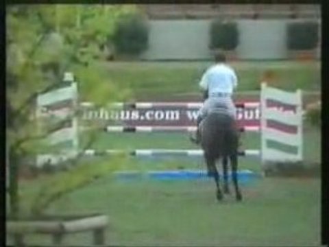 Cheval de grand prix , ideal CSI