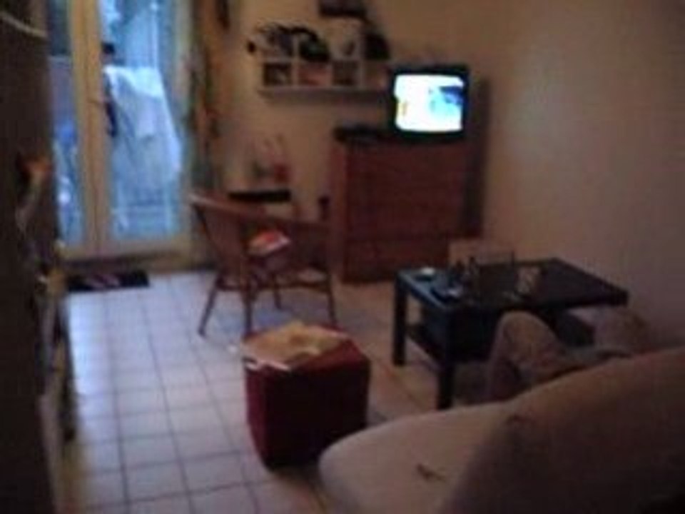 IMGP4155