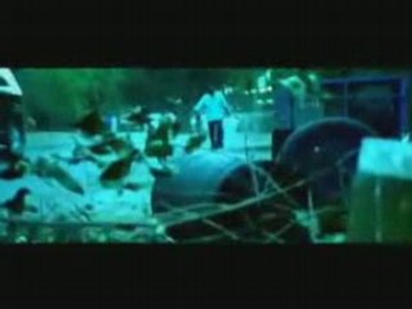 FILM PHOONK MUSIC VIDEO