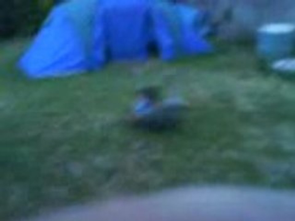 MOV00139