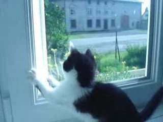 hugo en plein delire