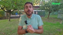 La météo de Farid du 16 septembre 2026