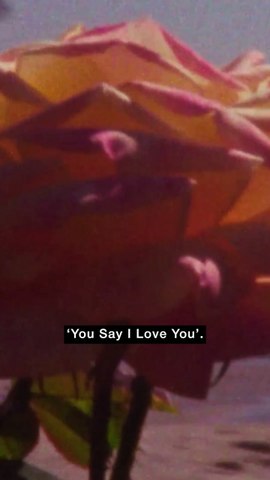 Quiet Light unpacks the story behind 'You Say I Love You'