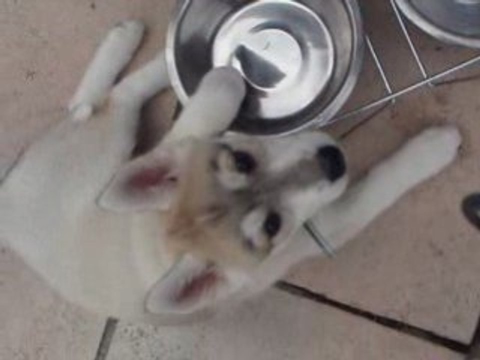 Photo du  nouvel appareil photo 936