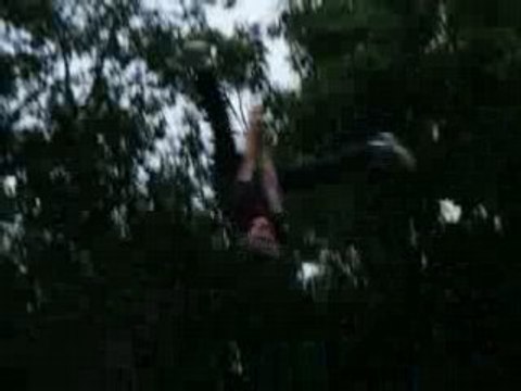 ESTI VAL - Camp 15-17 2008 - Accrobranches - Tyrolienne 4