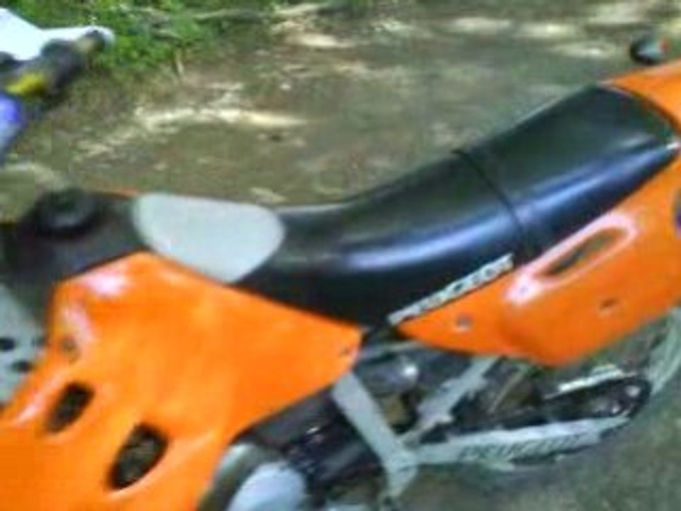 mon xp6