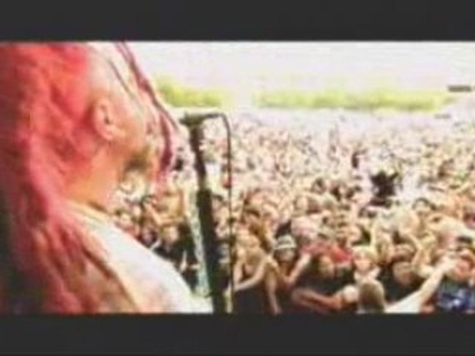 Soulfly back to the primitive