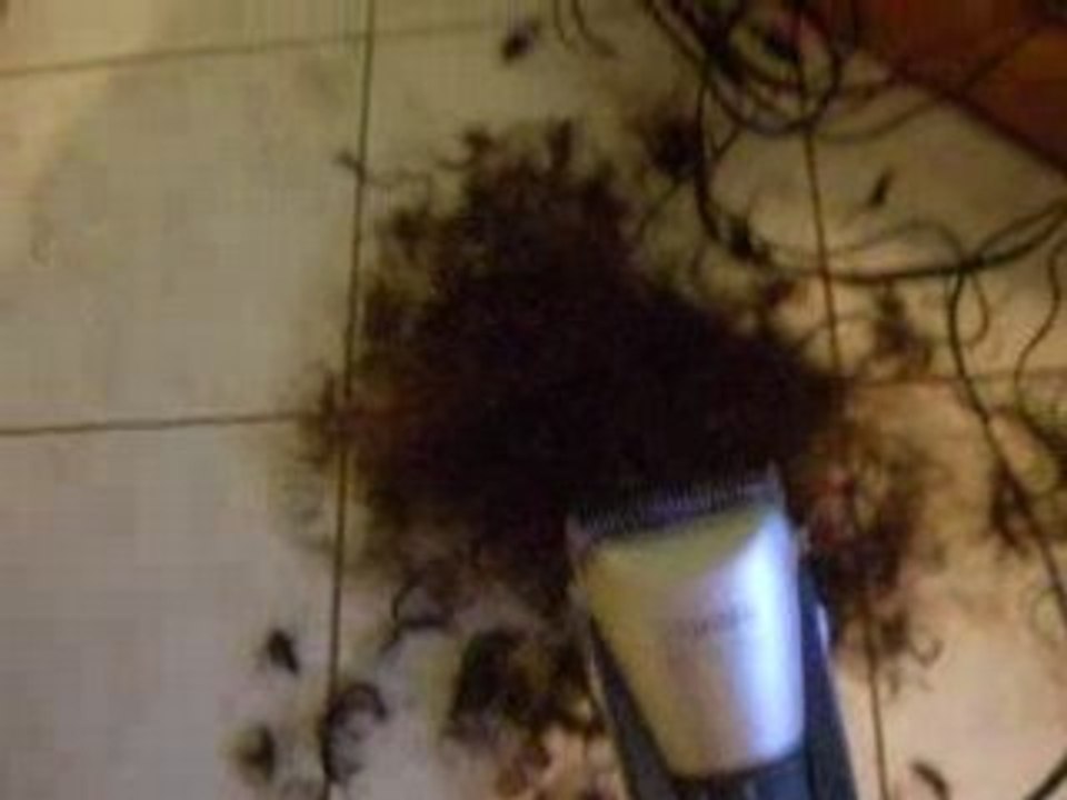 HAIRS 2008