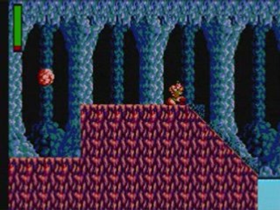 RASTAN TEST