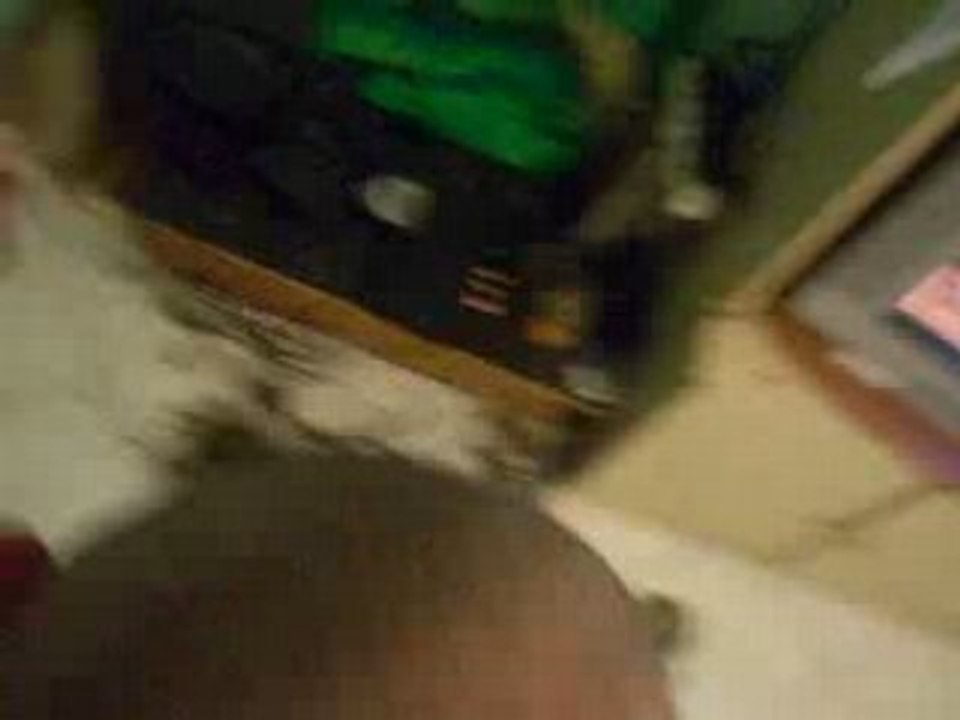 HAIRS 2008 - P.2