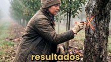Toda Mudança Começa Antes da Primeira Ação