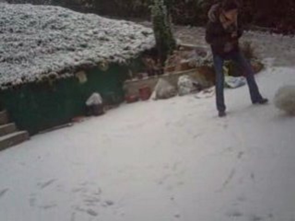 Empreintes neige