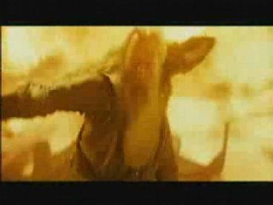 Harry_Potter_et_le_Prince_de_Sang_Mele__Bande_Annonce_Francaise