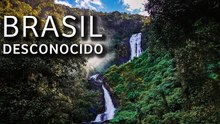 Uno de los rincones más remotos de la Mata Atlántica | Trilha do Ouro, Serra da Bocaina