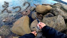 ゴロタ浜の穴釣りで大物！仕掛けを落とした瞬間に反応が出た