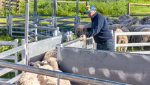 Water-rich Cairndale at Keith offered at public auction.