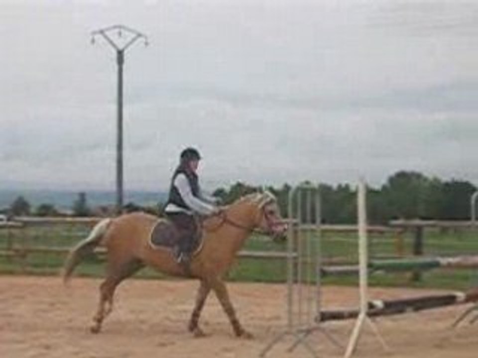 MVI_2875