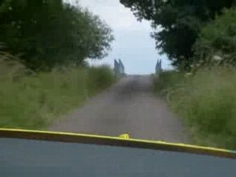 stock-car bertrix 03