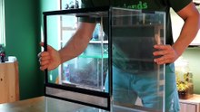 ¡Conoce la ranita más tierna del mundo por partida cuádruple!
