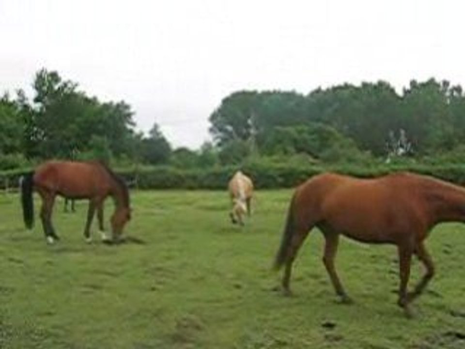 MVI_2888