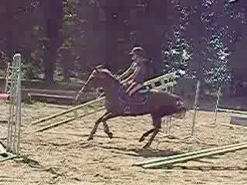 P7301439