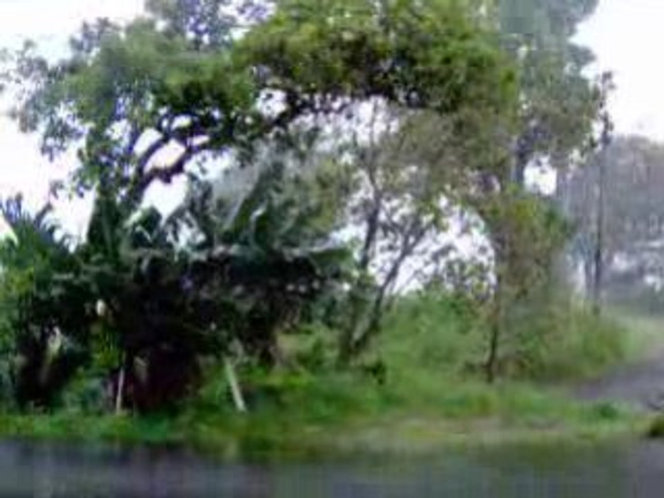 COUP DE VENT AU GROS MORNE