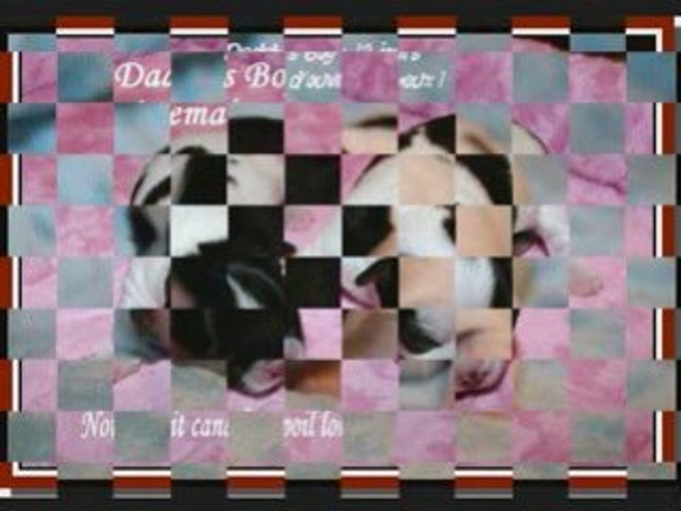 Diaporama Daddy's Boy