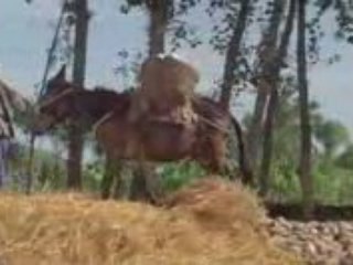 Les Arts Martiaux de Shaolin 5