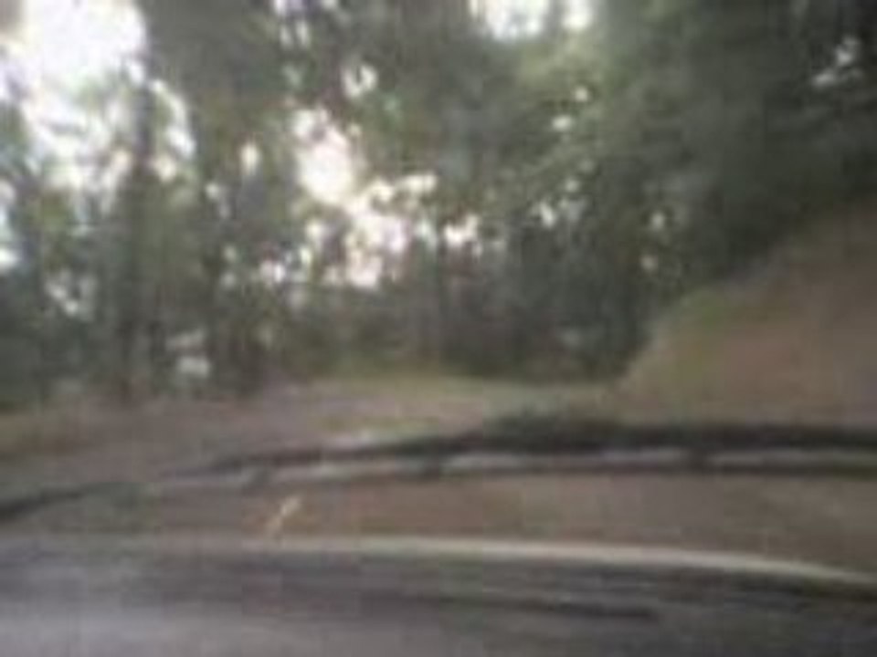 205 GTI en action