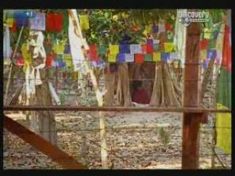 The Boy With Divine Powers (4/5)