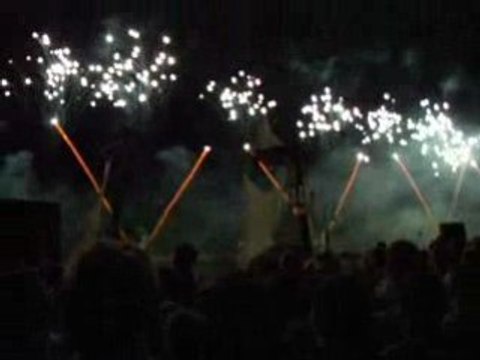 Feux d'artifice 2008 Caravane de Loire Orleans