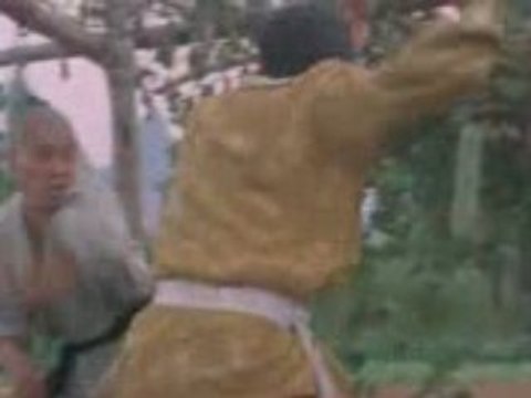 Les Arts Martiaux de Shaolin 10 (fin)