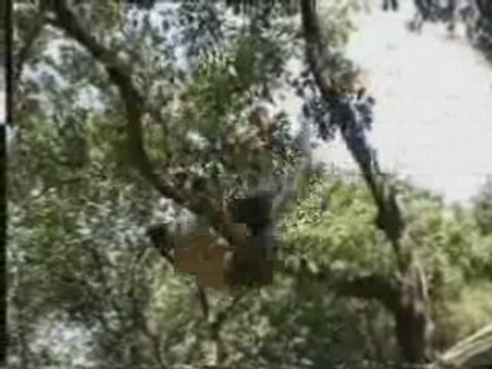 Amazingjumper