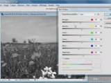 Photoshop CS3 : Convertir une image couleur en noir et blanc