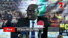 Orpaillage illégal : le COJEP appelle à durcir la lutte