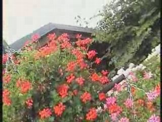 TV CAYENNE - LE POUVOIRS DES FLEURS 2008