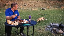 Pikniğe sürpriz misafir: Tilki ikramları geri çevirmedi