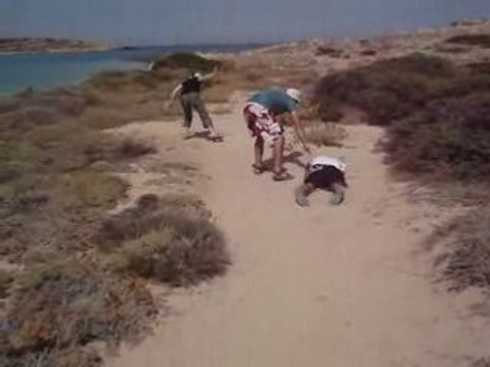 Morts dans le désert
