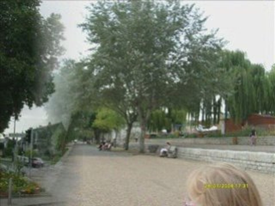 Bord de la loir