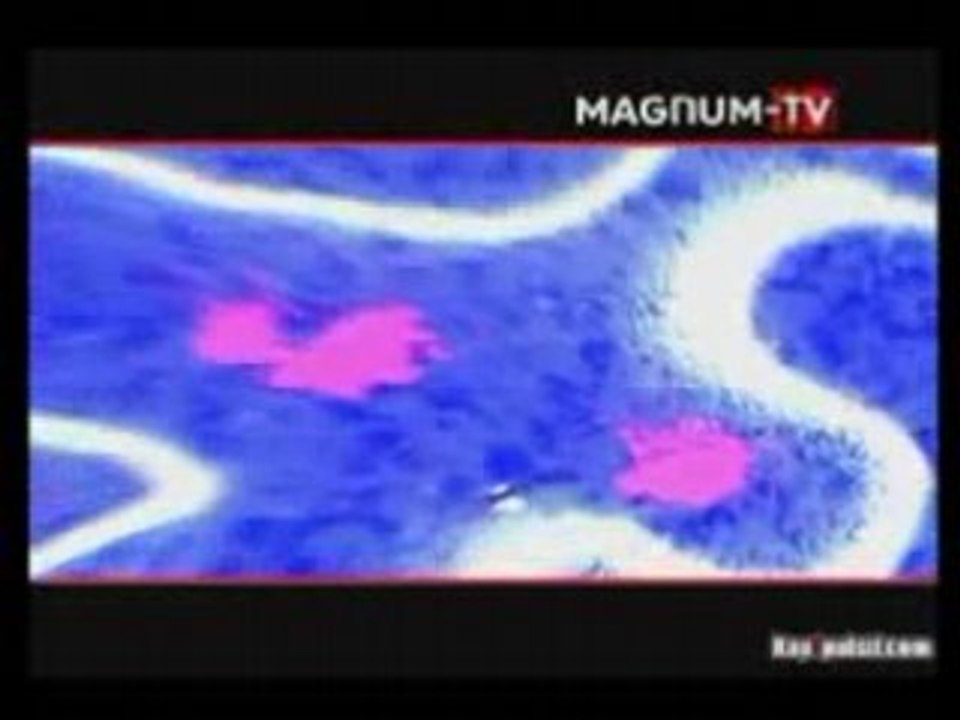 Alpha 5_20 pression sanguine