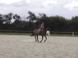 Stage technique Alexander