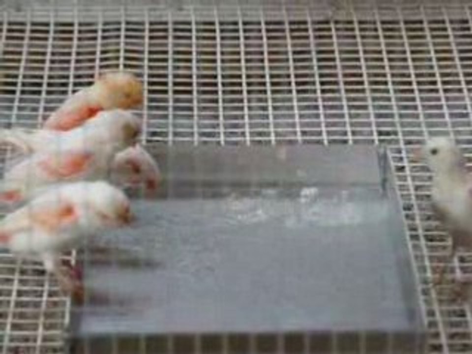 P1050744