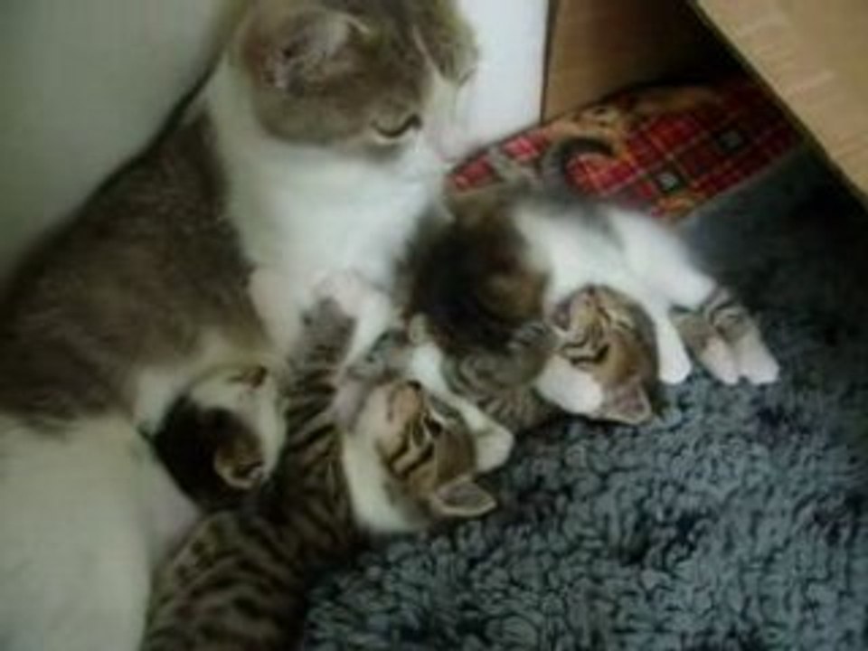 Les bébés à 27 jours