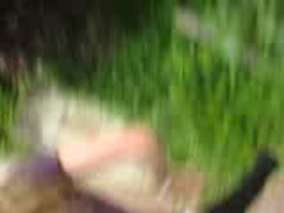 MVI_0002