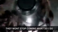 Hundreds of Roaches Take Over the Stove [720p]