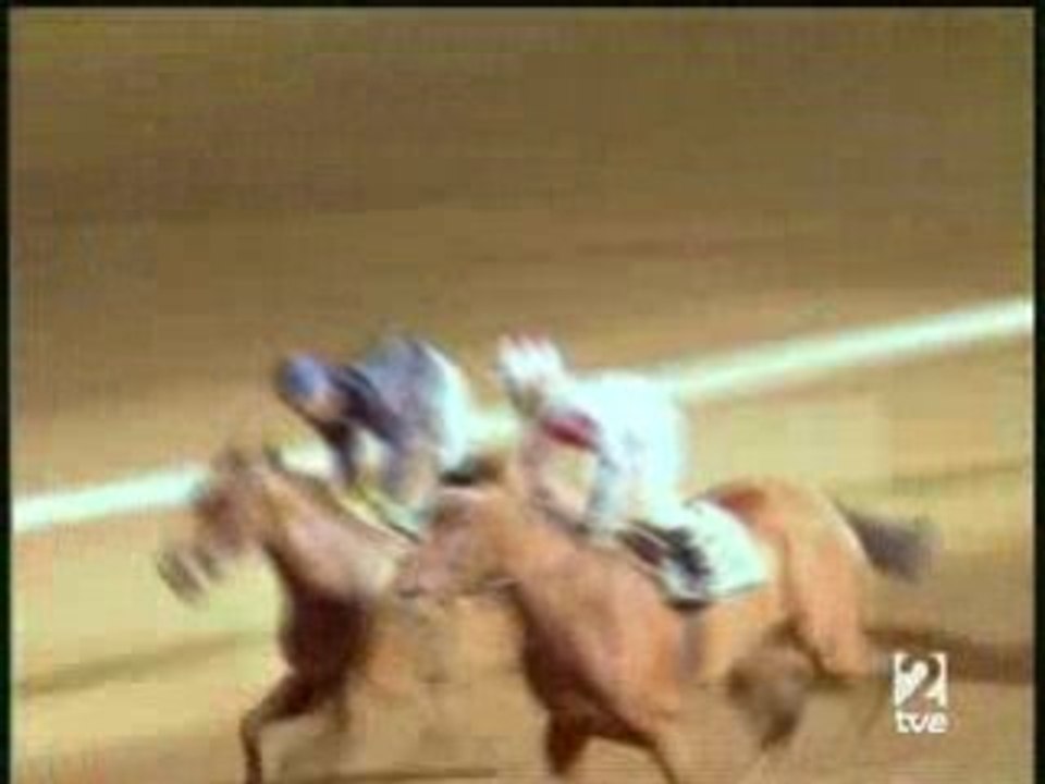 2008.08.01, nº 247 MJ (Mijas Semanal (Hand, Yeguas) Salsa Winner